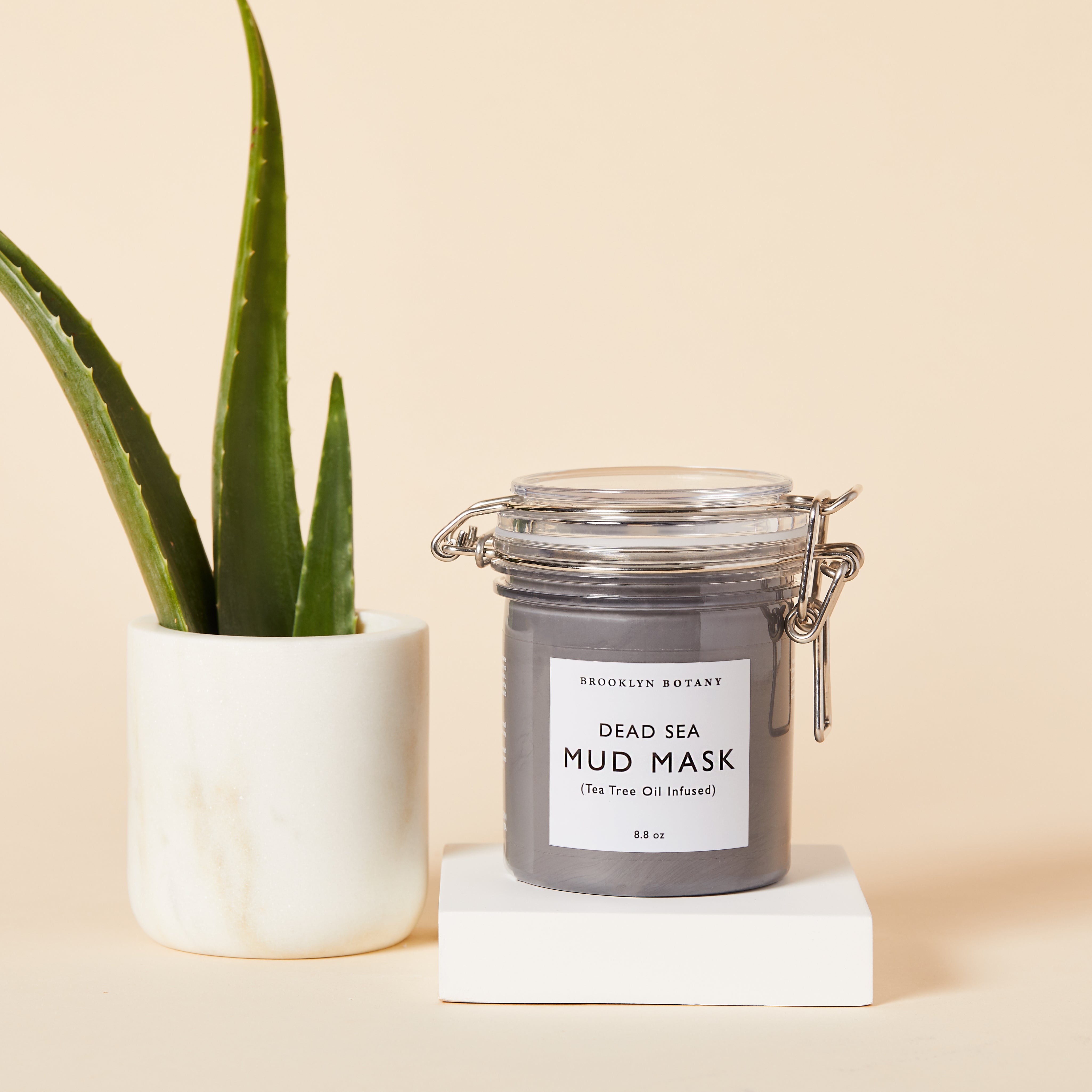 BB Break-Down: The Dead Sea Mud Mask