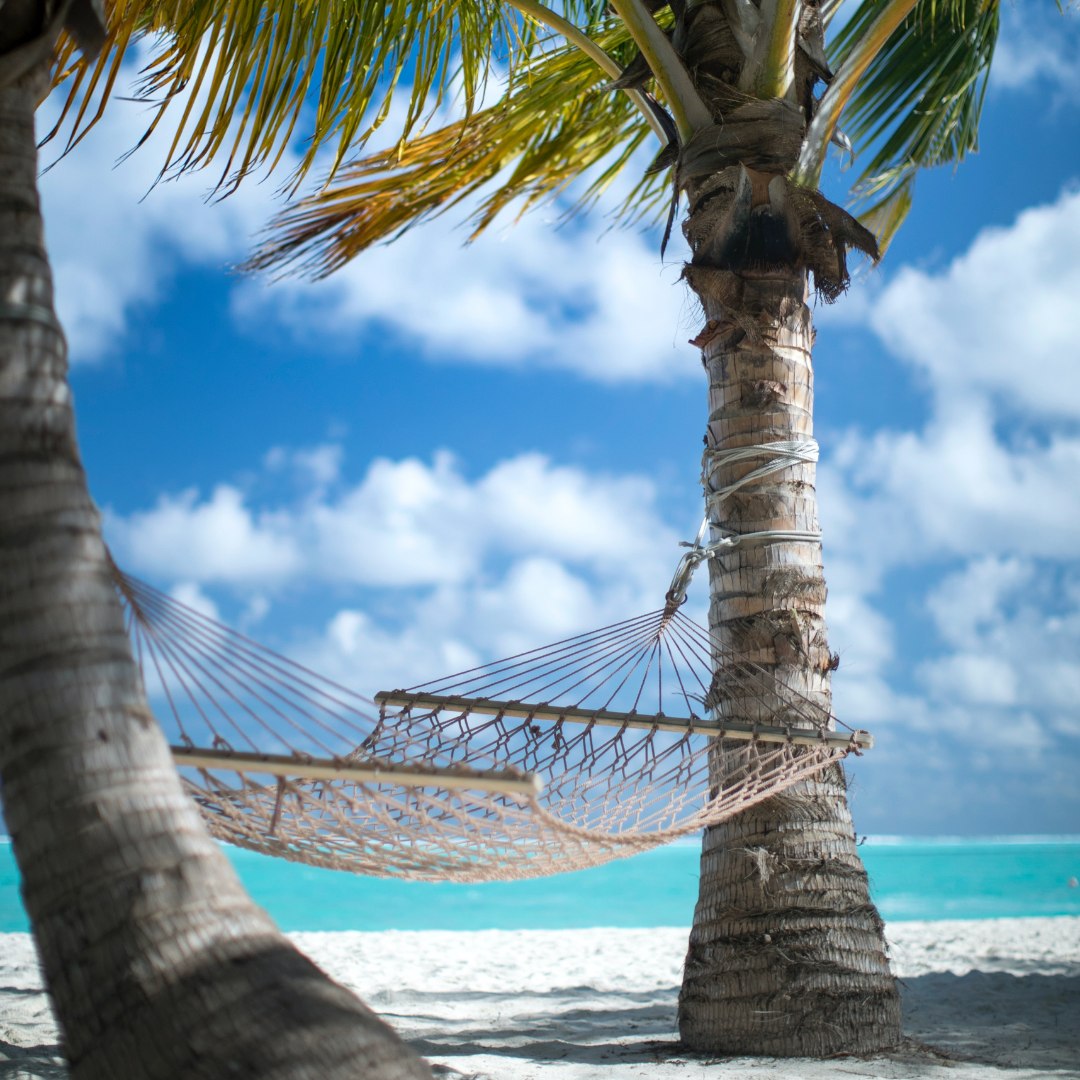 Time to Take a Vacation