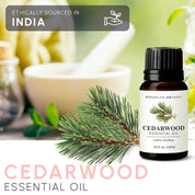 Cedarwood Essential Oil