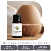 Cedarwood Essential Oil