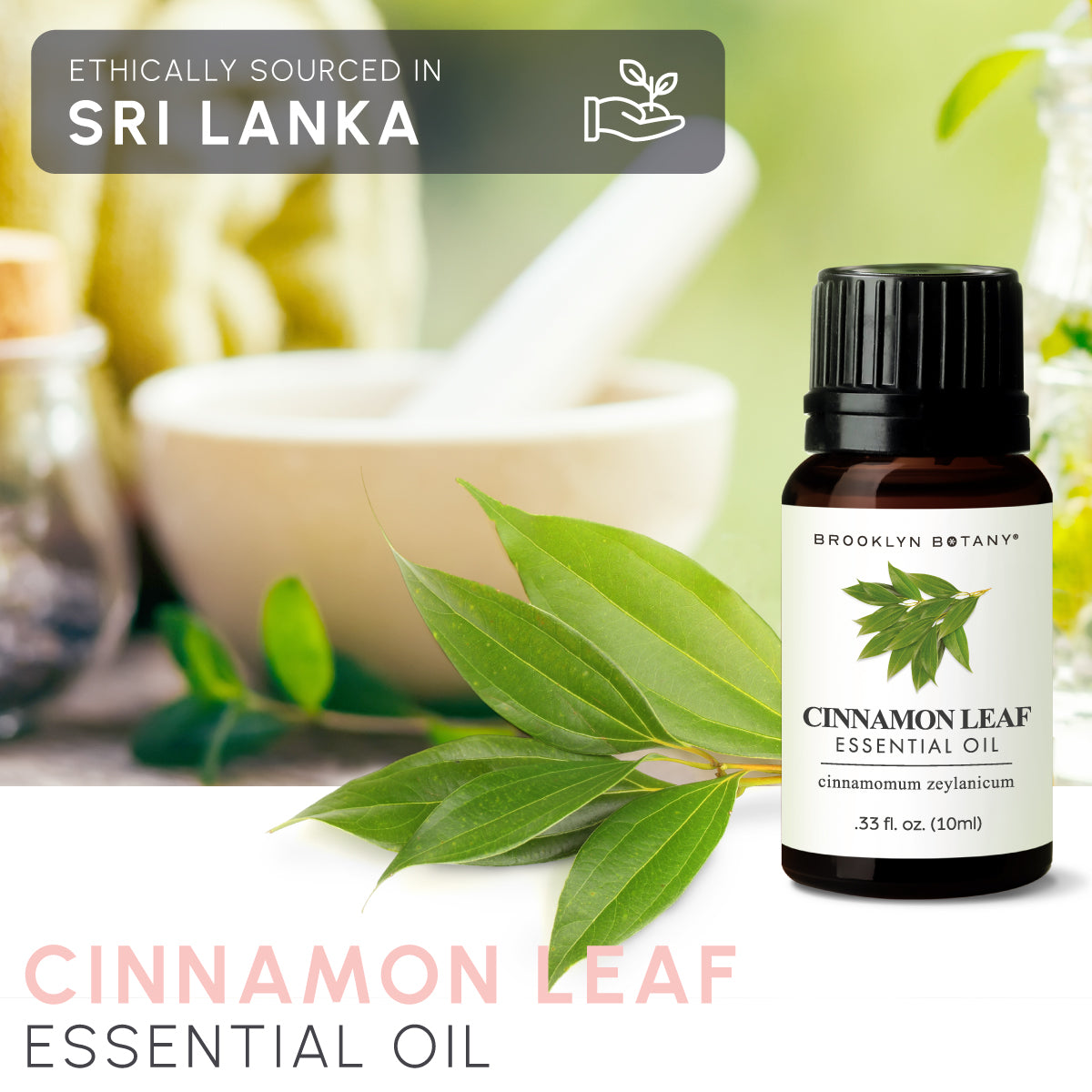 Cinnamon-Leaf---BB-10-ml-EO---Listing-1200x1200-1.jpg