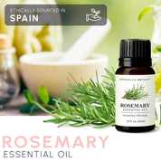 Rosemary Essential Oil 10 ml
