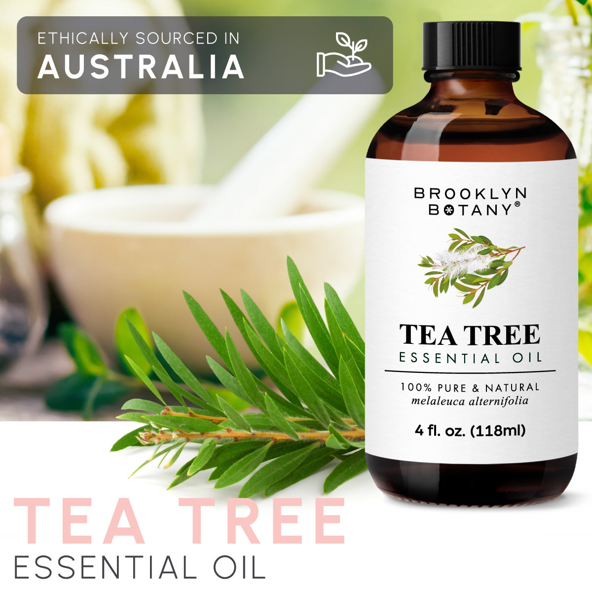 Tea Tree Essential Oil 4 oz