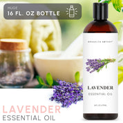 Lavender Essential Oil