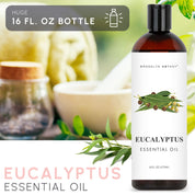 Eucalyptus Essential Oil