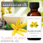 Ylang Ylang Essential Oil