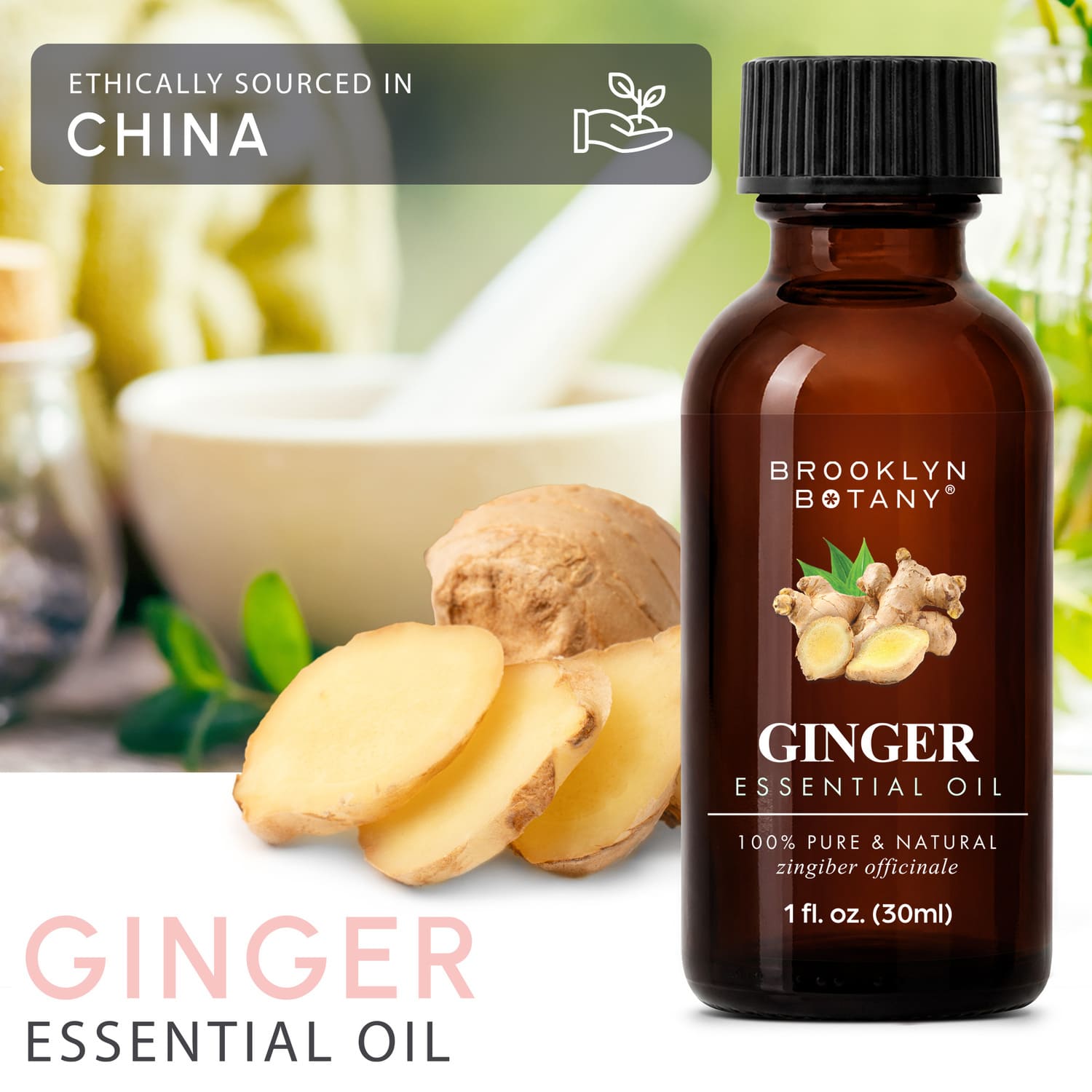 Ginger Essential Oil