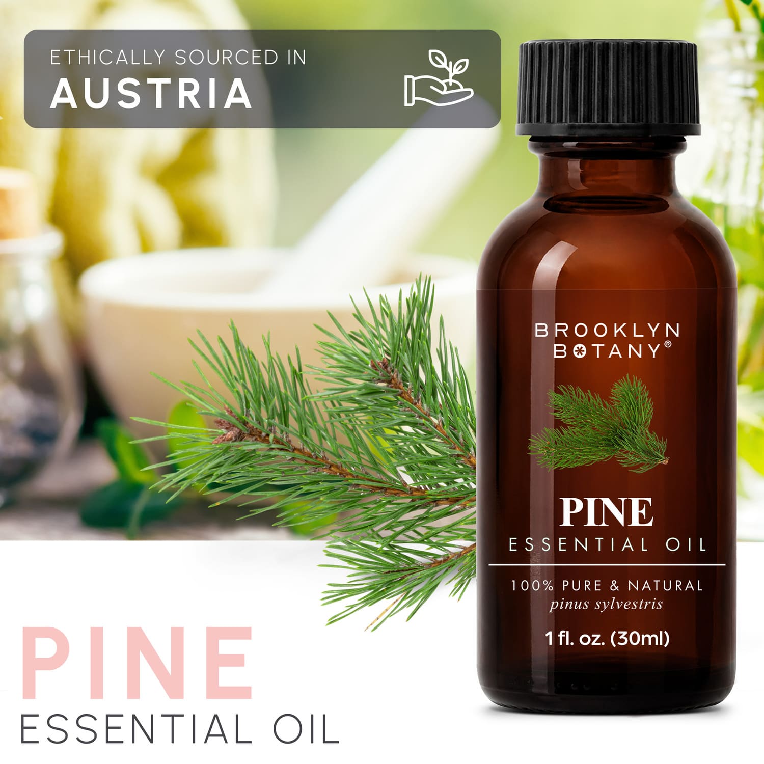 Pine Essential Oil