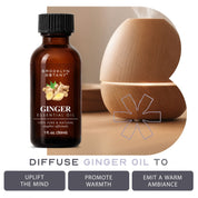 Ginger Essential Oil