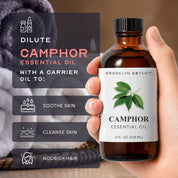 Camphor Essential Oil