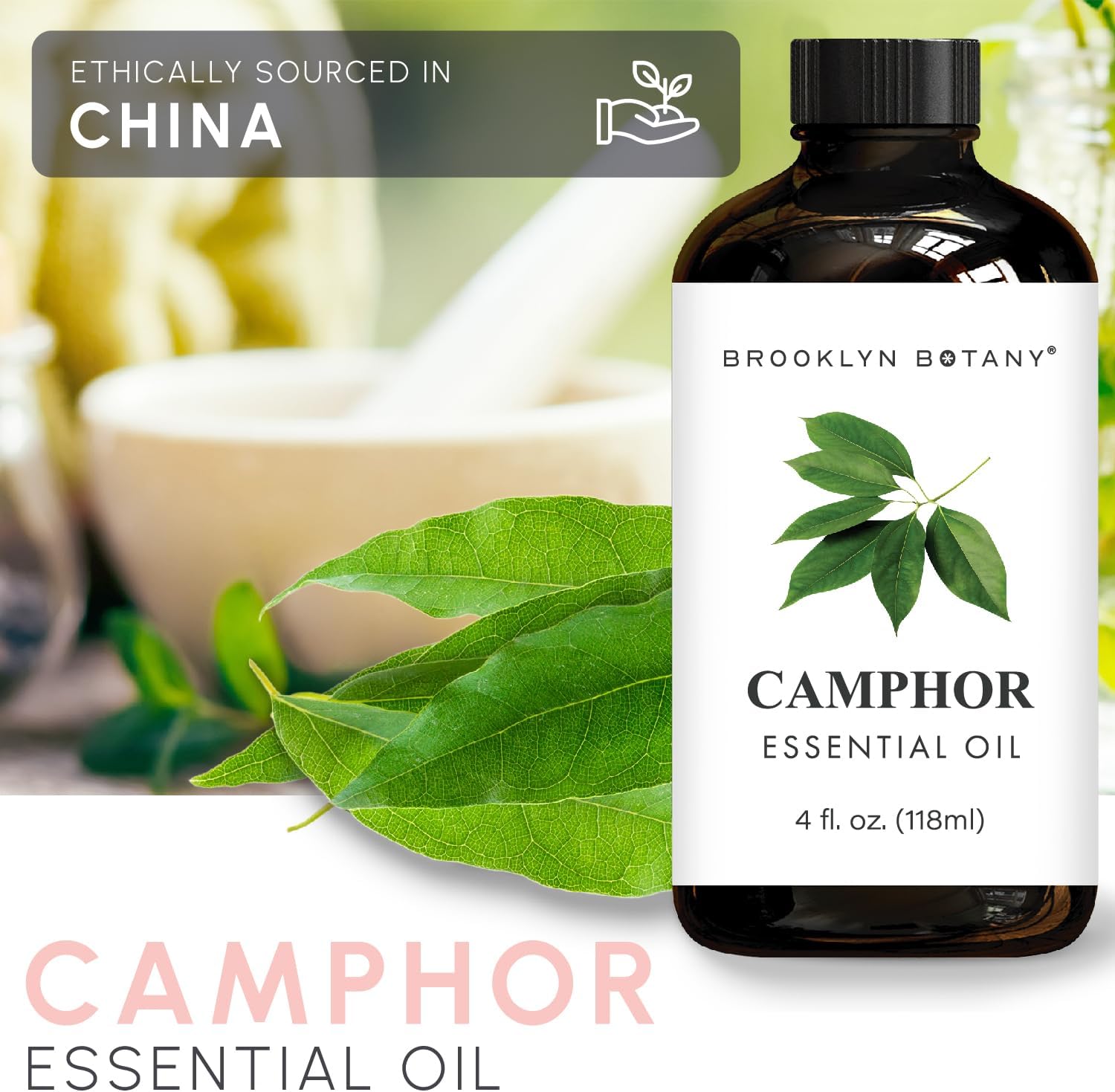 Camphor Essential Oil