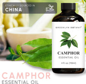 Camphor Essential Oil