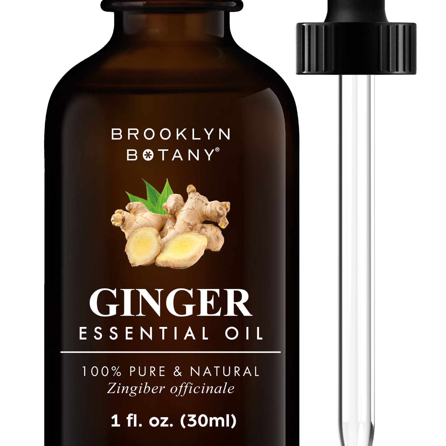 BB---EO---1oz--Ginger-Oil---Main-Image.jpg