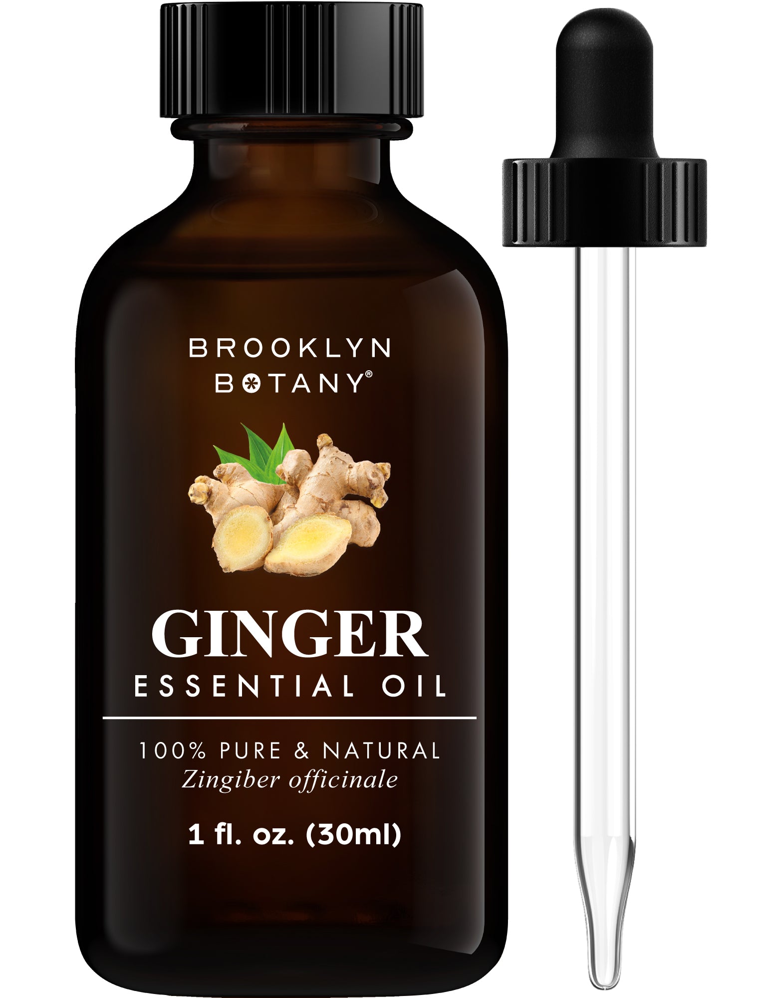Ginger Essential Oil