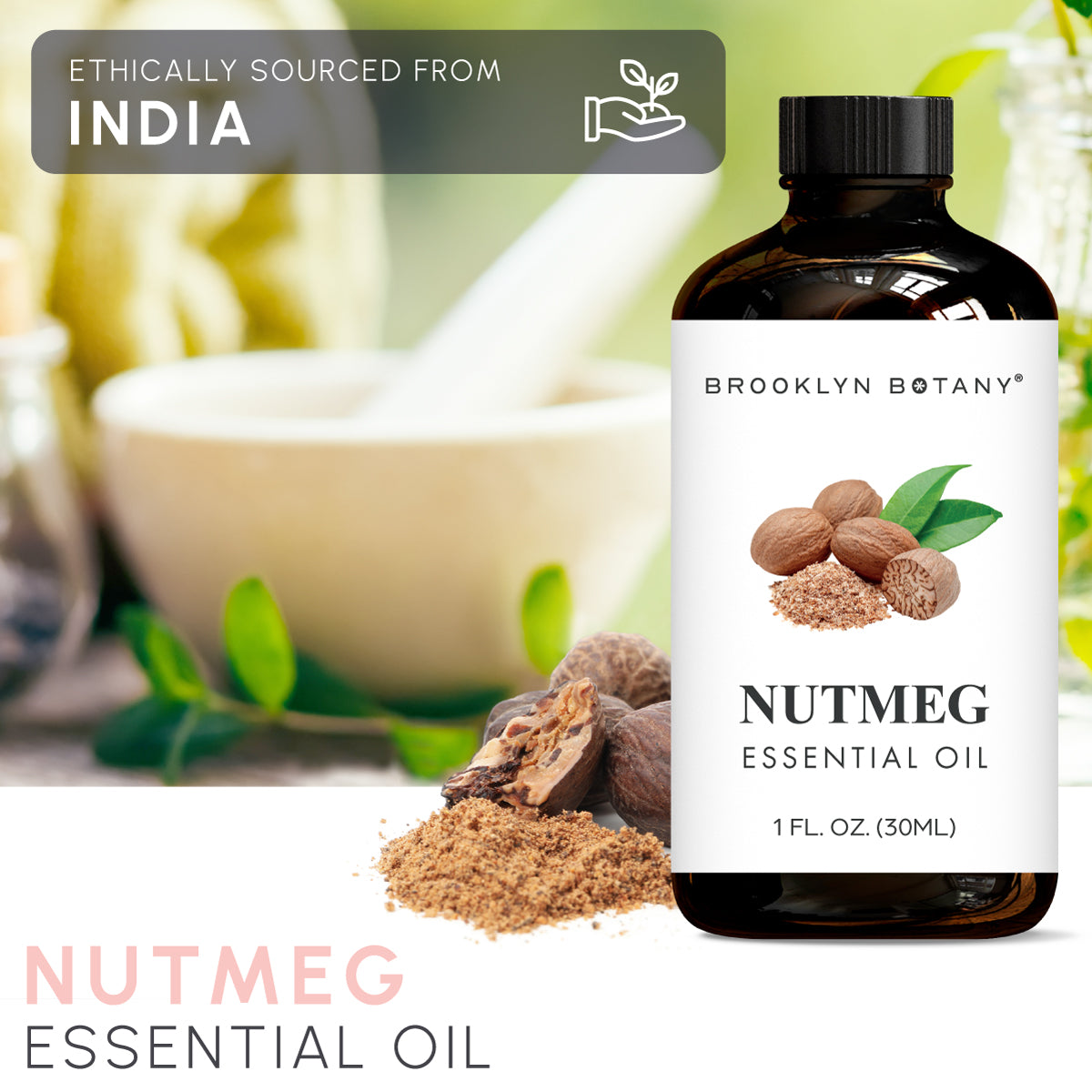 Nutmeg Essential Oil 1 OZ