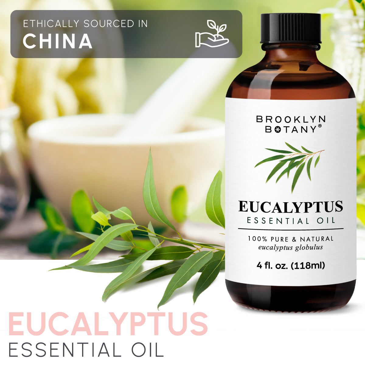 Now Eucalyptus Globulus Natural Eucalyptus Essential Oil