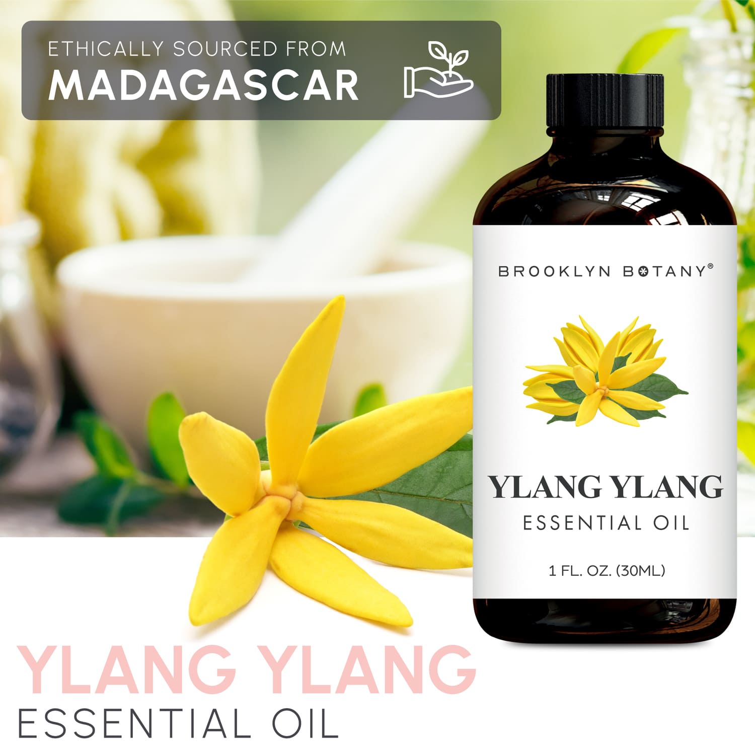 Ylang Ylang Essential Oil