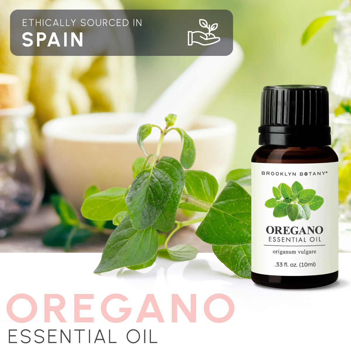Oregano Essential Oil 10 ml