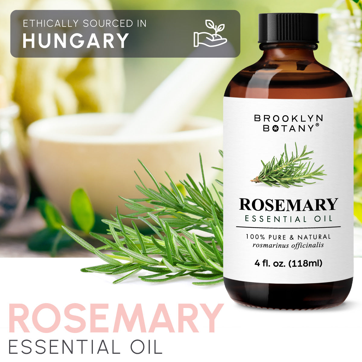 Rosemary Essential Oil - Brooklyn Botany –