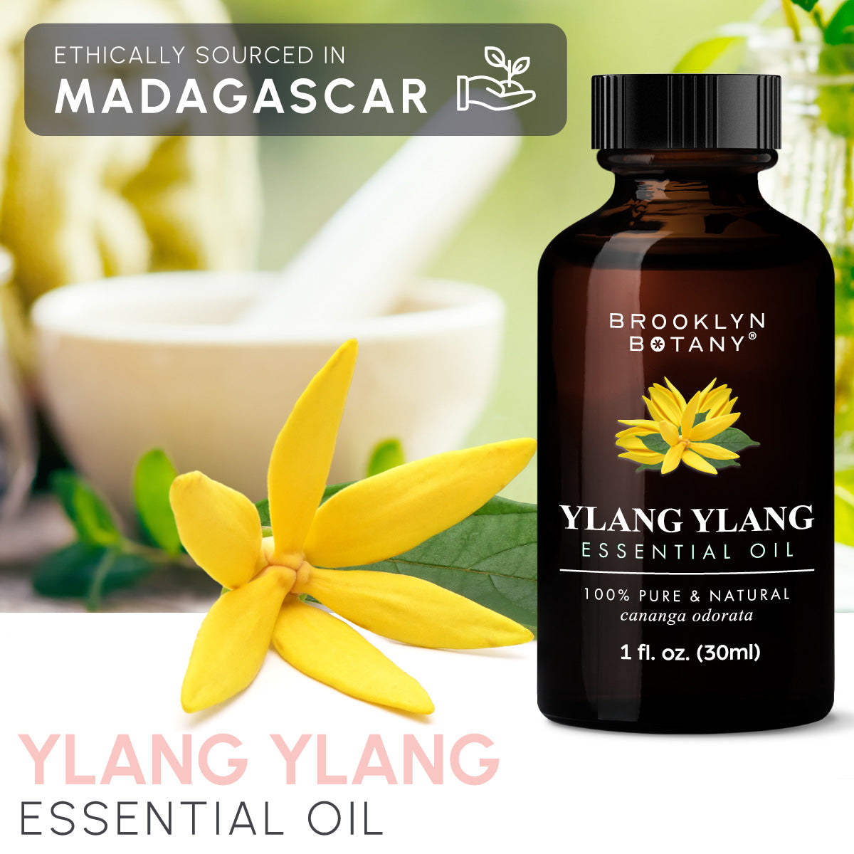 Ylang Ylang Essential Oil 1 oz